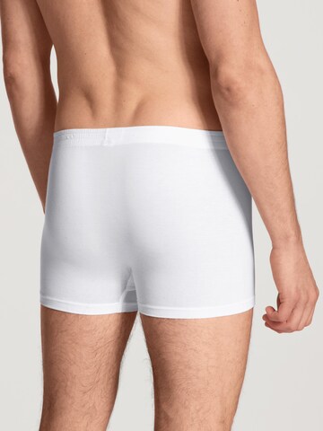 CALIDA Boxer shorts 'Focus' in White