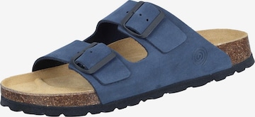 DR. BRINKMANN Mules in Blue: front