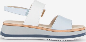 GABOR Sandals in Blue