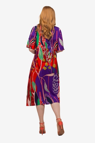 Ulla Popken Dress in Mixed colors