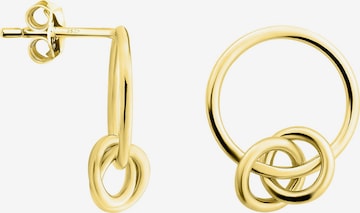 Sofia Milani Ohrringe in Gold: Vorderseite
