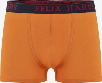 Felix Hardy Boxershorts in Mischfarben