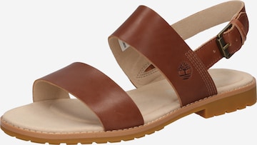 TIMBERLAND Sandals in Brown: front