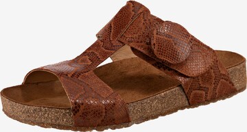 HAFLINGER Mules 'Mika' in Brown: front