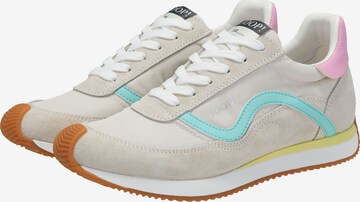 JOOP! Sneaker low in Mischfarben