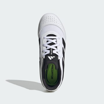 ADIDAS PERFORMANCE Sportschuh 'Predator Club' in Weiß
