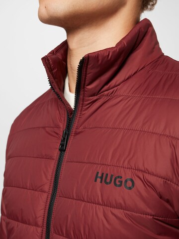 HUGO Winter jacket 'Benti' in Brown