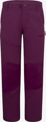 TROLLKIDS Workout Pants in Purple: front