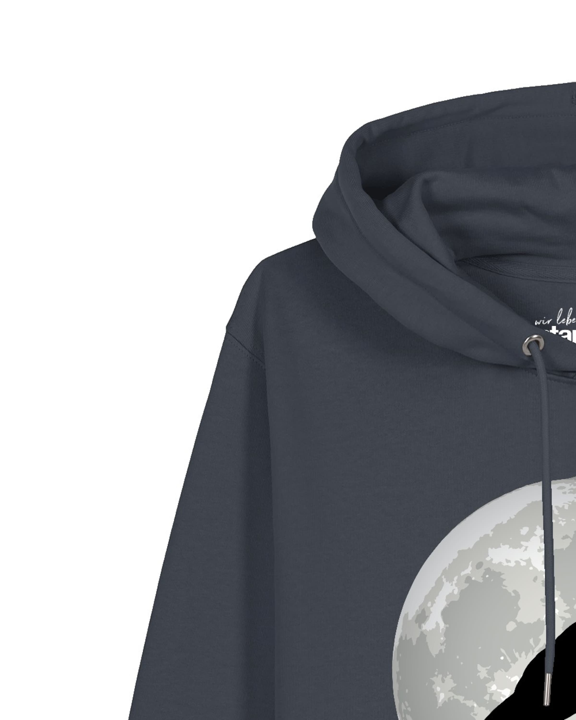 Sweat-shirt ' Flying TRex ' Watapparel en gris