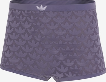 ADIDAS ORIGINALS Broekje ' Microterrot Monogram ' in Lila: voorkant