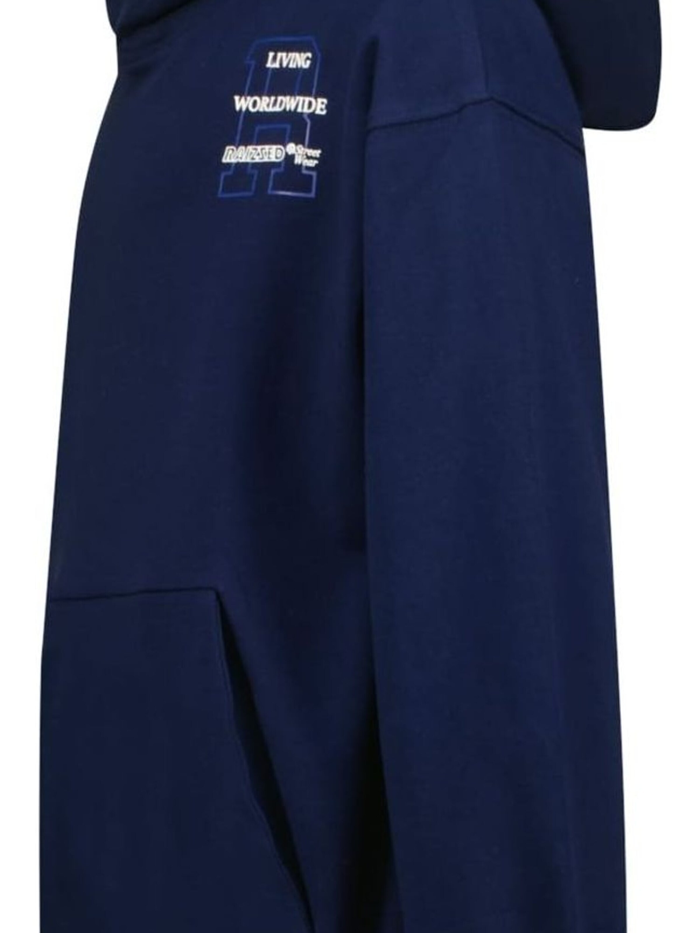 Raizzed Sweatshirt in Blauw