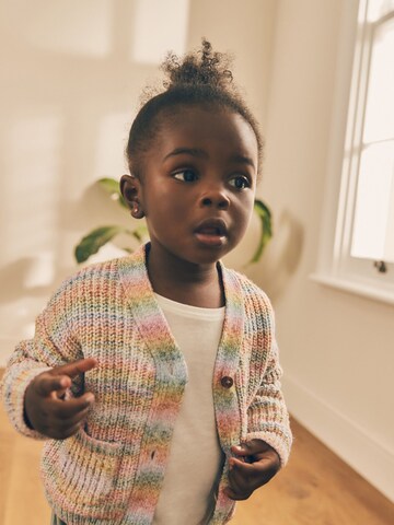 Next Strickjacke in Mischfarben