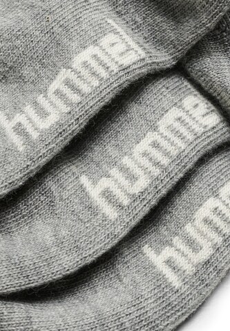 Hummel Socks 'Sora' in Grey