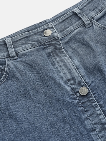 Cellbes of Sweden Klederdracht rok in Blauw