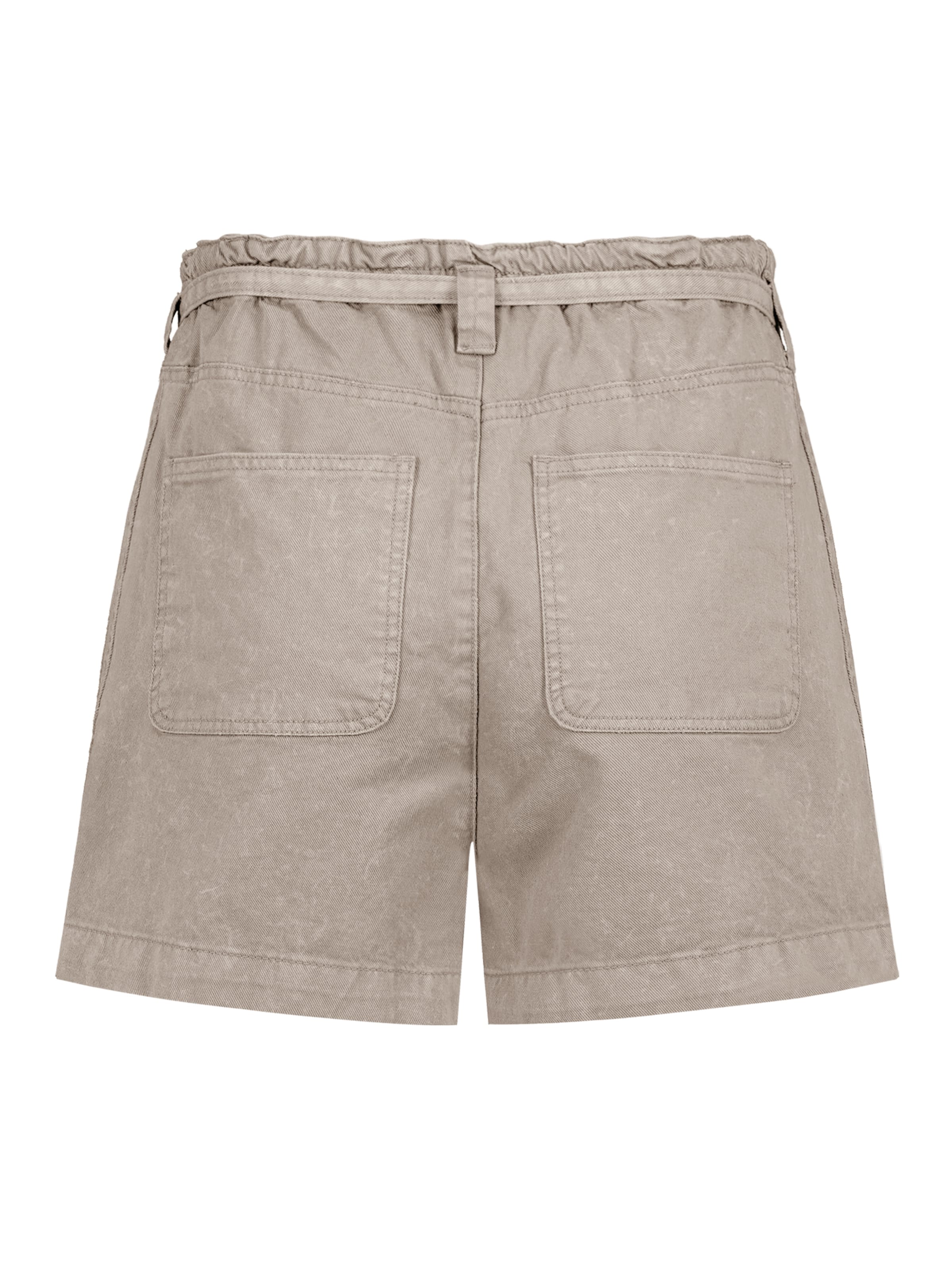 Sublevel Regular Pants in Brown