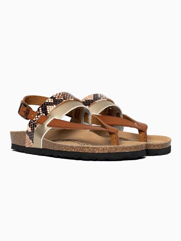 Bayton Sandal 'Lajas' in Brown