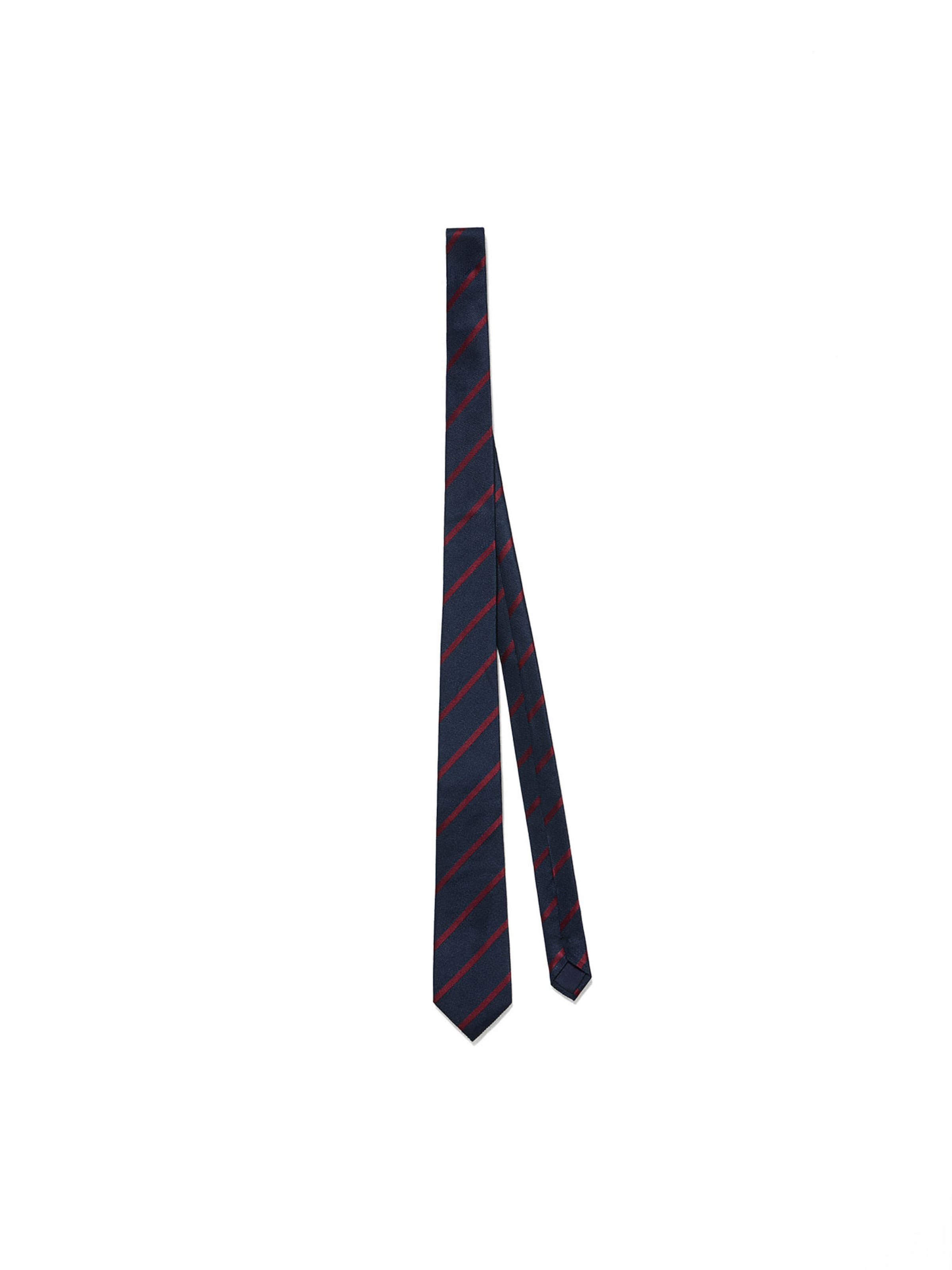 Polo Club Tie in Blue