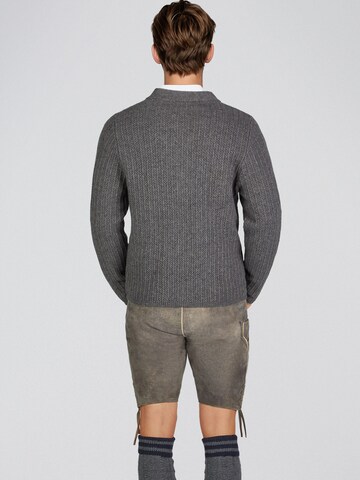 Vestes en maille 'Hagen' SPIETH & WENSKY en gris