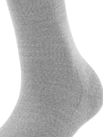 FALKE Kniestrümpfe 'Softmerino'‌ in Grau