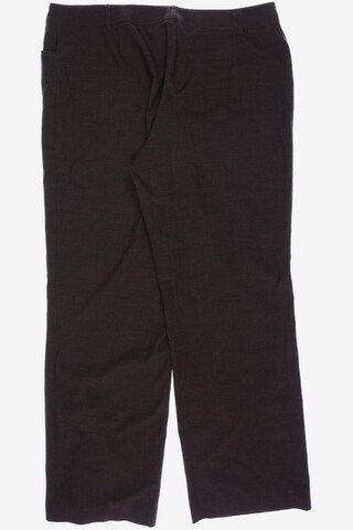 KAPALUA Pants in XXL in Brown