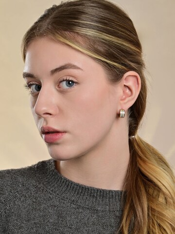 Akzent Earrings 'Edelstahl-Keramik, Zirkonia, langlebig' in Gold: front