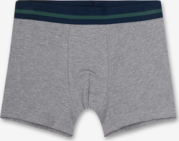 s.Oliver Underpants in Grey