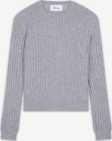 pilka JUST CASHMERE Megztinis 'Avana': priekis
