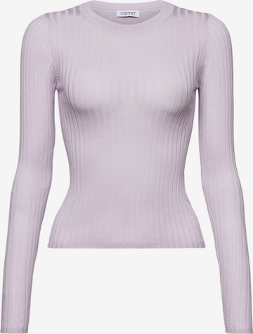 ESPRIT Pullover in Lila: predná strana