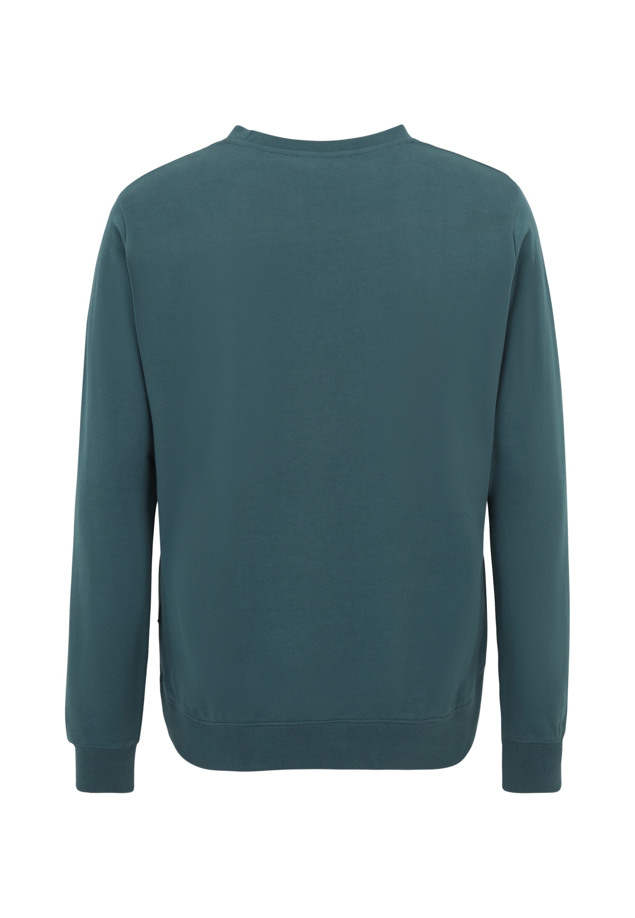 Oldskull Sweatshirt 'Plain Basic' in Grün