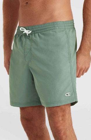 O'NEILL Badeshorts in Grün