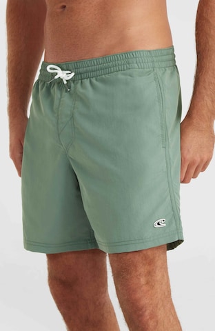 O'NEILL Board Shorts in Green