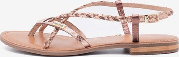 Les Tropéziennes Strap Sandals in Gold