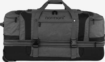 normani Cart 'Gigaro' in Grey: front