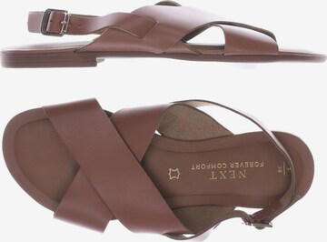 NEXT Sandals & High-Heeled Sandals in 38 in Brown: front