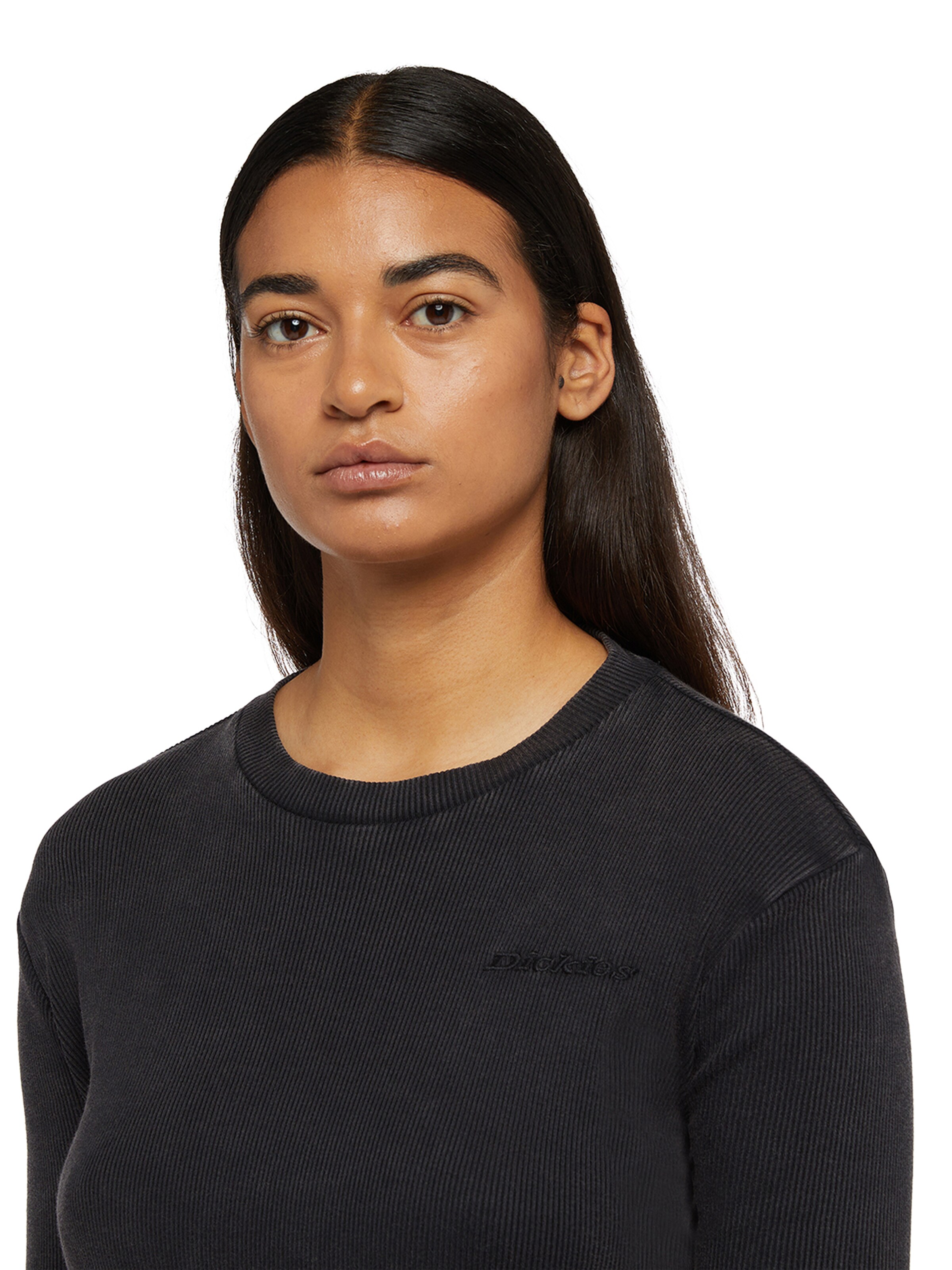 DICKIES Shirts 'PLENTYWOOD' i grå