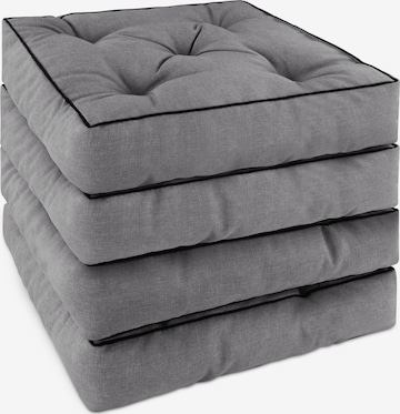 Coussins 'Padua' Aspero en gris : devant