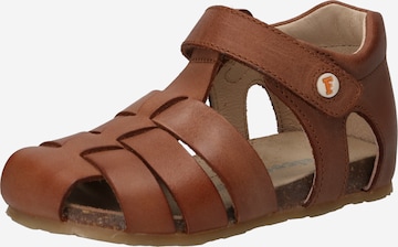 Chaussures ouvertes 'Alby' Falcotto en marron : devant