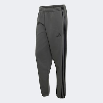 ADIDAS SPORTSWEAR Pants in Grey: front
