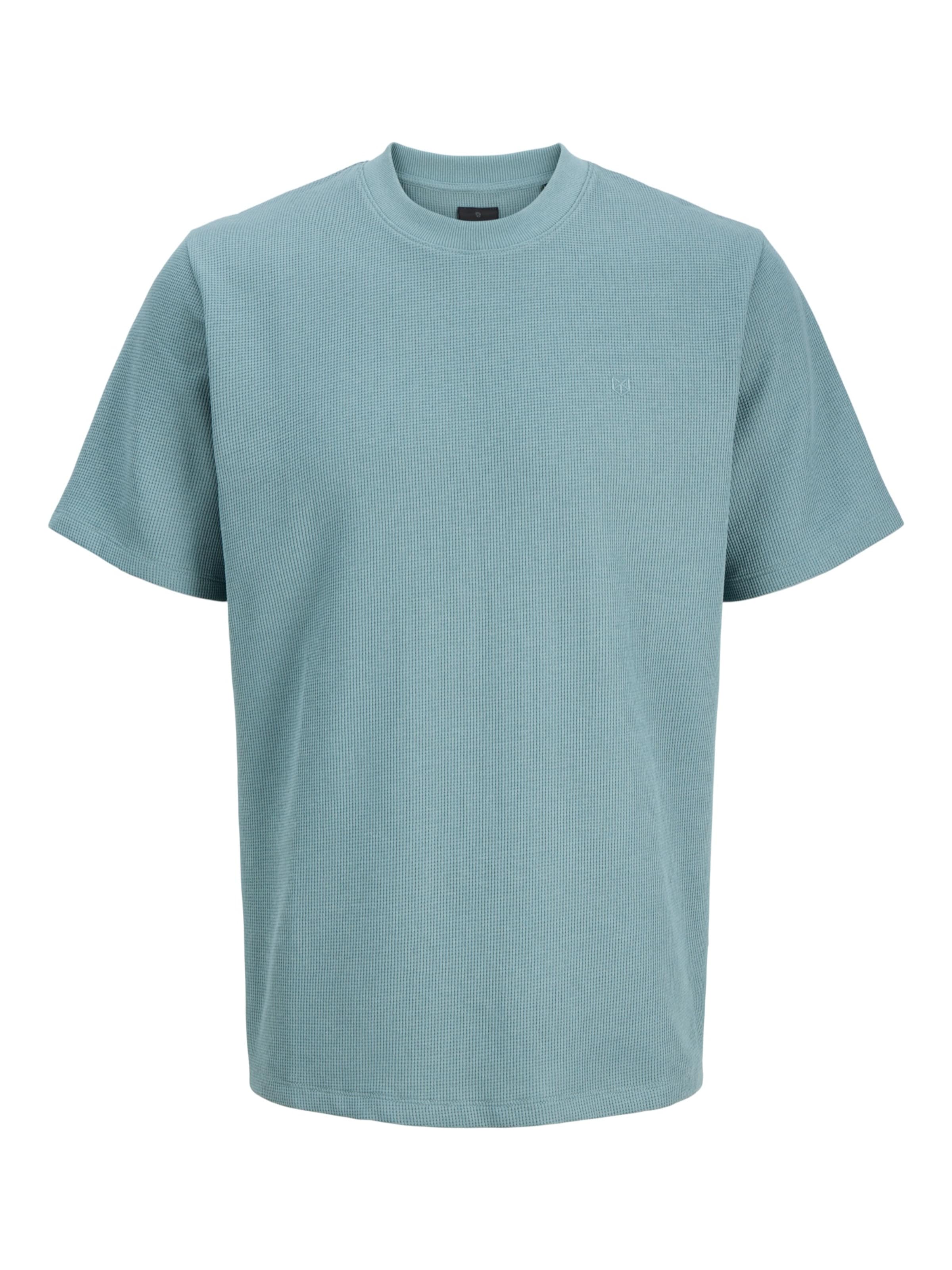 JACK & JONES T-Shirt 'JPRBLALEO' in Blau: Vorderseite
