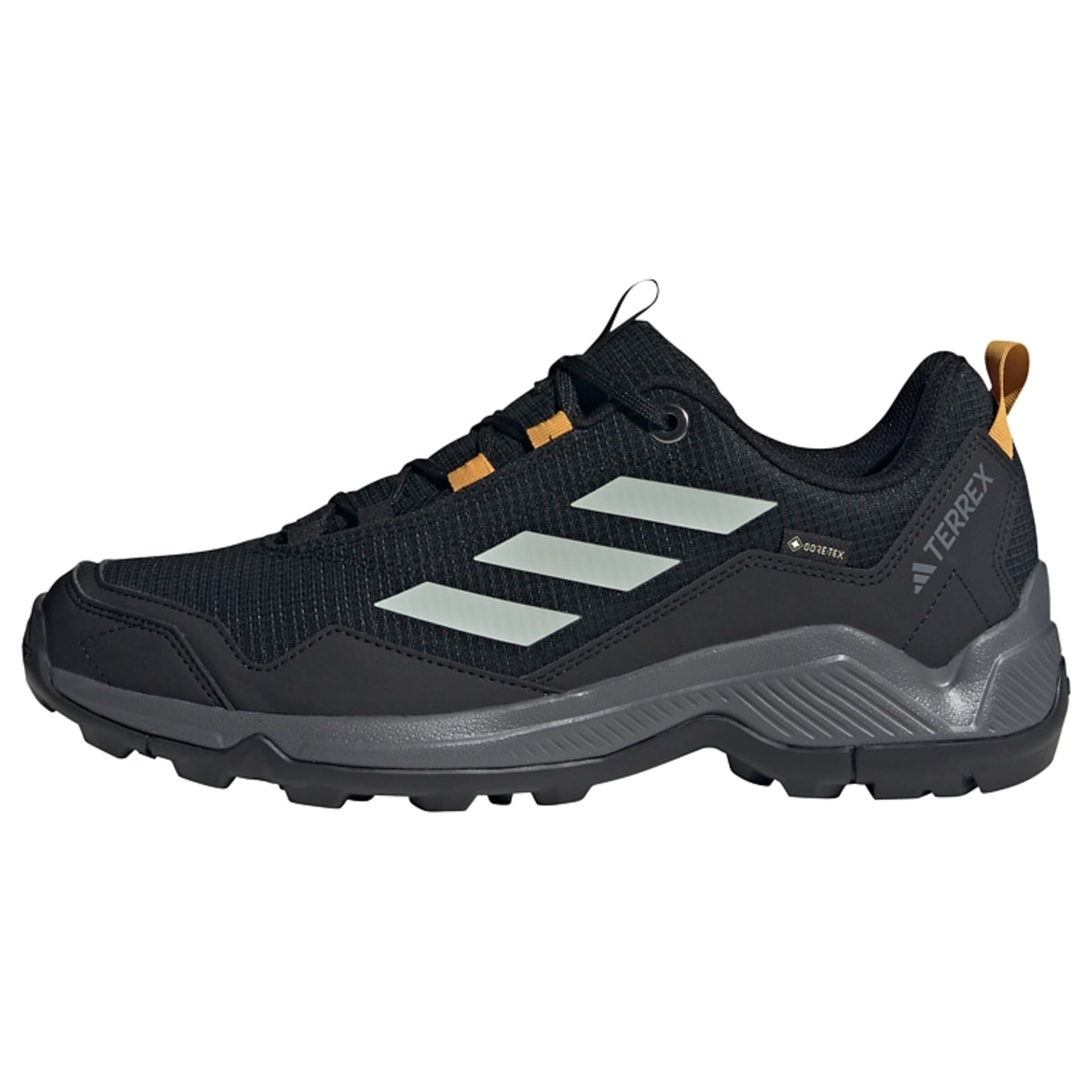 ADIDAS TERREX - Sapato baixo 'Eastrail' em preto: frente