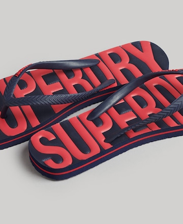 Superdry T-Bar Sandals in Blue