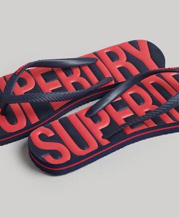 Superdry Zehentrenner in Blau