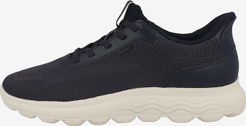 Baskets basses 'Spherica Plus' GEOX en bleu : devant