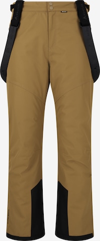 Whistler Sports trousers 'Drizzle' in Brown: front