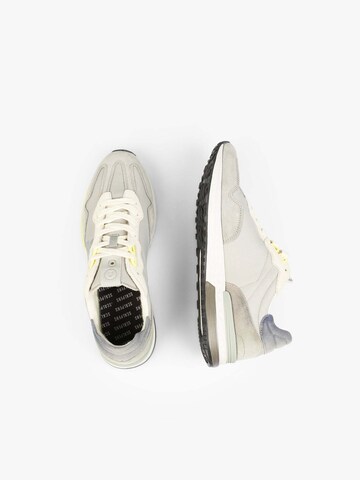 Scalpers Platform trainers 'New Harry' in Grey