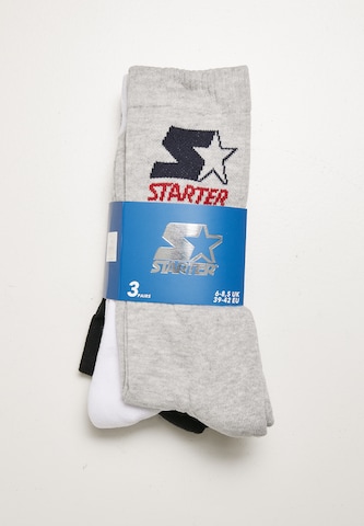 Chaussettes Starter Black Label en mélange de couleurs