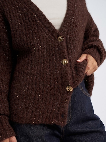 Cardigan Salsa Jeans en marron