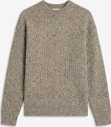 Calvin Klein Jeans Pullover in Grau: Vorderseite