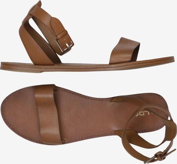 ALDO Sandals & High-Heeled Sandals in 40 in Brown: front