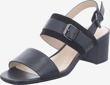 GERRY WEBER SHOES Strap Sandals ' Faro 14' in Blue: front